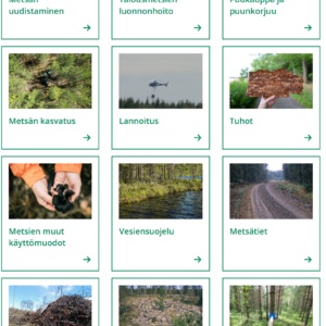 Metsänhoitokortiston sisältöteemoja, kuten metsän uudistaminen ja talousmetsien luonnonhoito esittelevä kollaasi