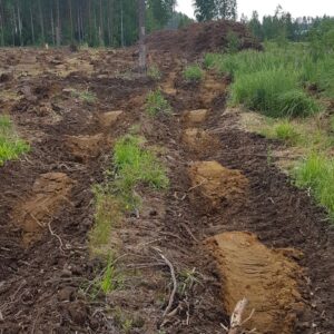 Koneellisesti tehtyä jälkeä esittävä kuva hakkuuaukeasta
